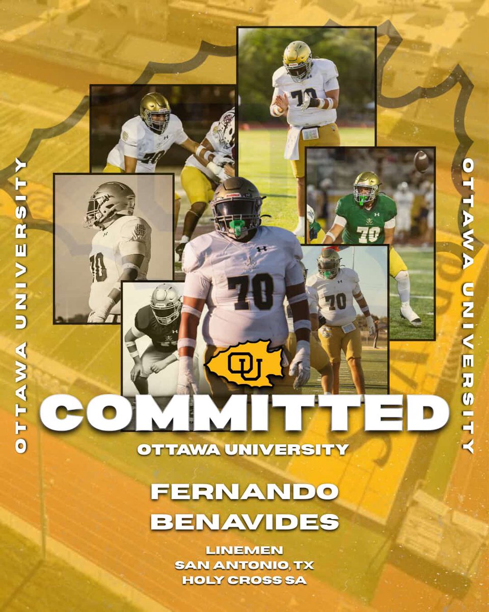 Fernando Benavides tweet media