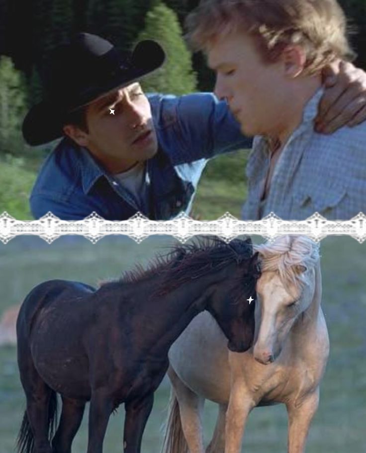 acervo brokeback mountain (@acervobrokeback) on Twitter photo 