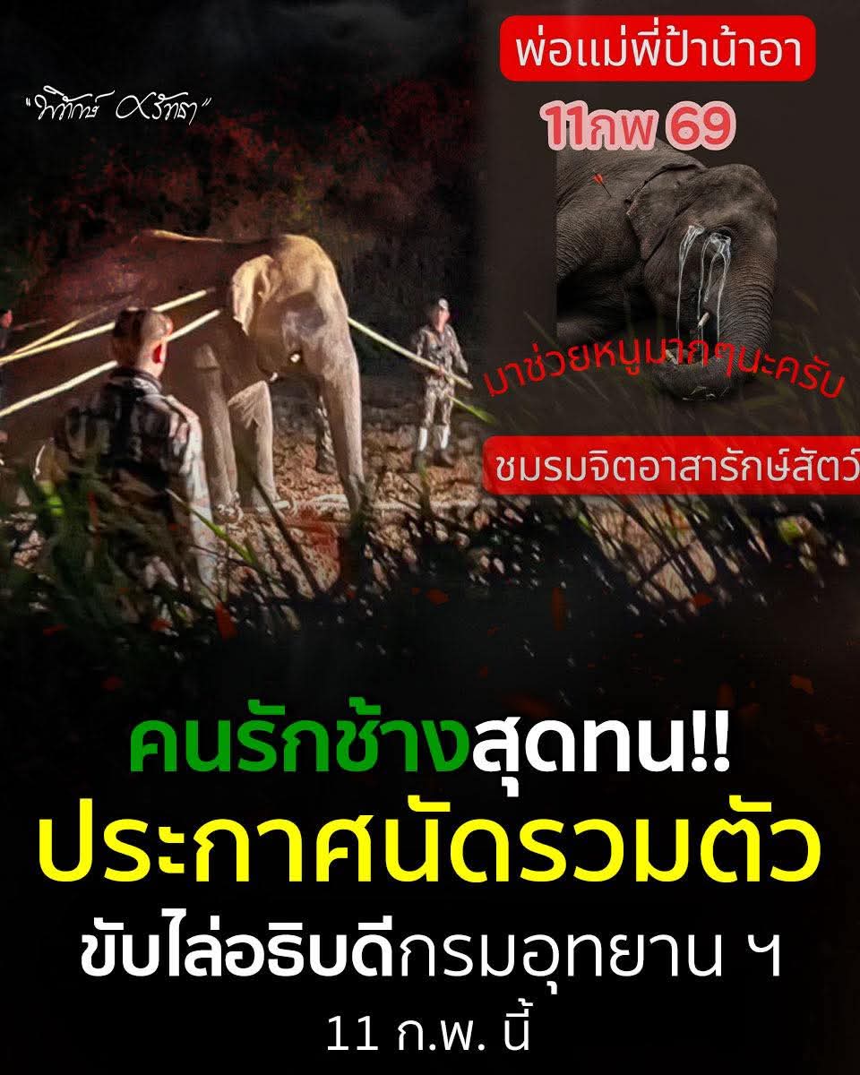 ด่วน!!!!

ทุกคนครับ วันนี้มีการนัดประท้วงที่กรมอุทยาน ขับไล่อธิบดีออกไป ถึงเวลา ทวงคืน ความเป็นธรรมให้ช้างไทยแล้ว ช่วยกันติดตามสถานการณ์ด้วยนะครับ!!!!!!!
#สีดอหูพับ #โกงเลือกตั้ง