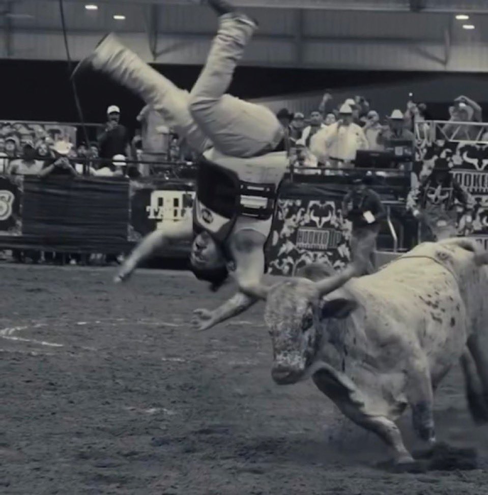 Bull gives you wings 😭💔