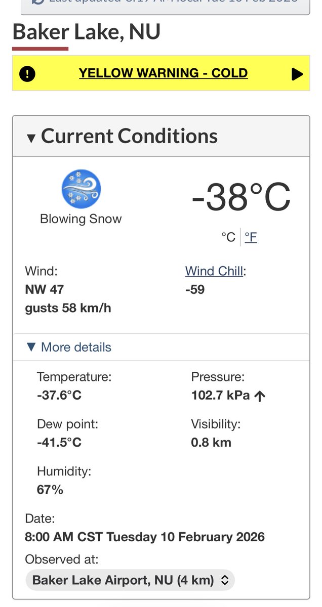 Shane Niego tweet media