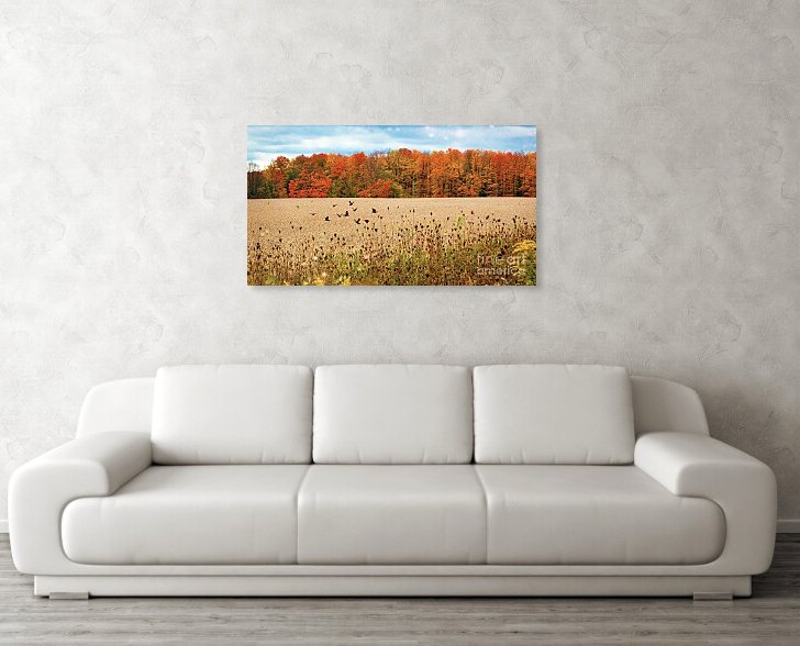 RedTruckPro's tweet image. Bring the warmth of autumn indoors. A perfect touch for cozy home décor. Prints here: pixels.com/featured/fall-…
 #autumnvibes #homedecorideas #canadianartist #wallartforsale #interiorstyle #artprintshop #seasonaldecor #BuyIntoArt #artvsartist2026