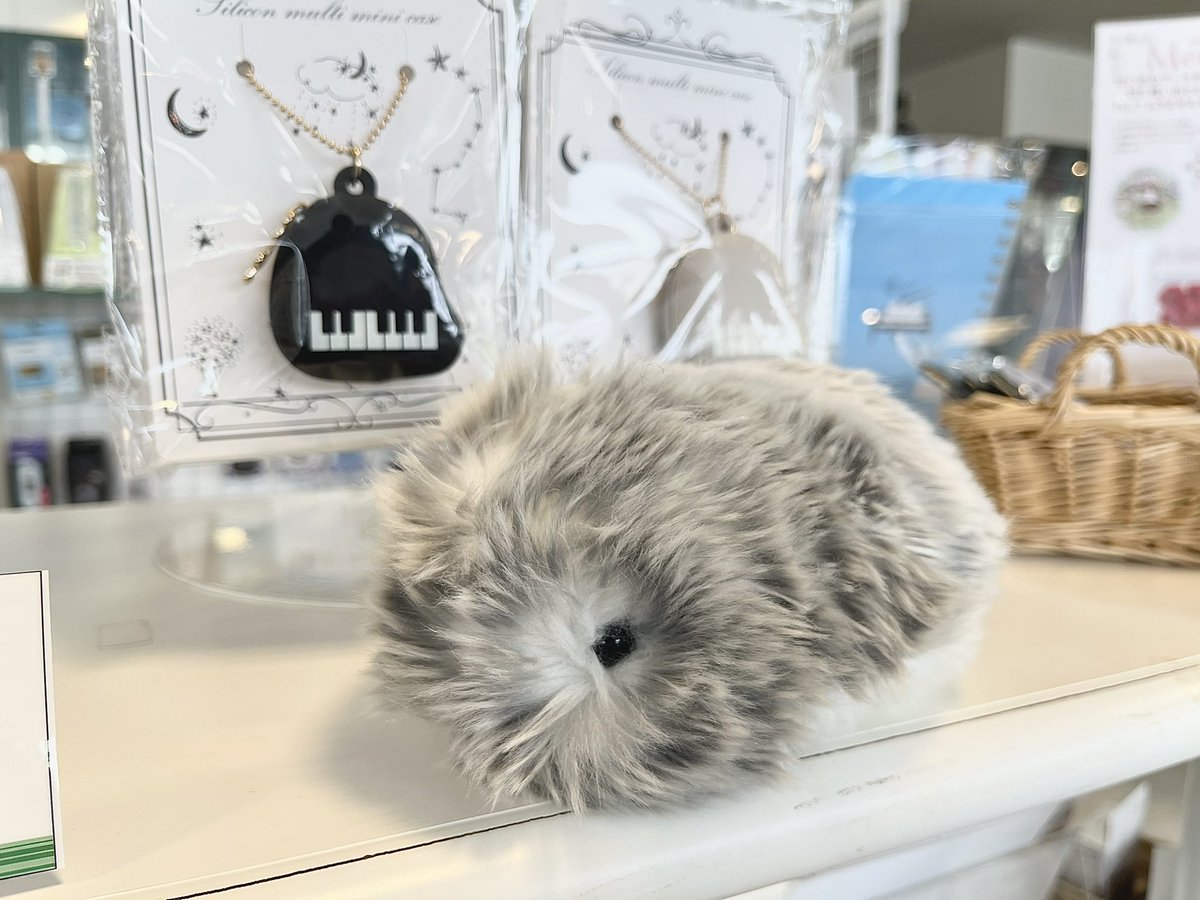 Moflin(モフリン)がおでかけから帰ってきました♪
本店内にいるのでスタッフまでお声がけください🙌

<a href="/casio_moflin/">【公式】Moflin（モフリン）｜感情が育つAIペット</a> 
#モフリン #Moflin