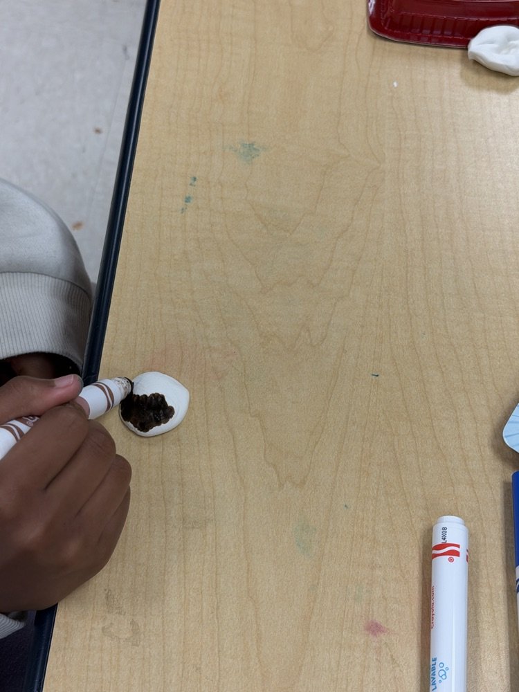 Savannah Lakes Elementary tweet media