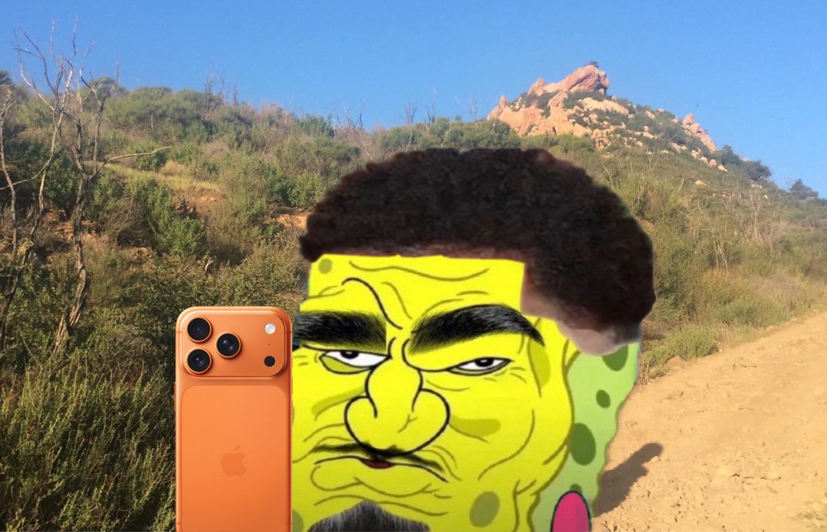 cactuhski's tweet image. 