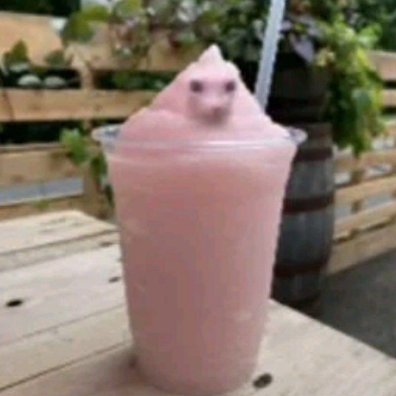 PunchingCat's tweet image. 