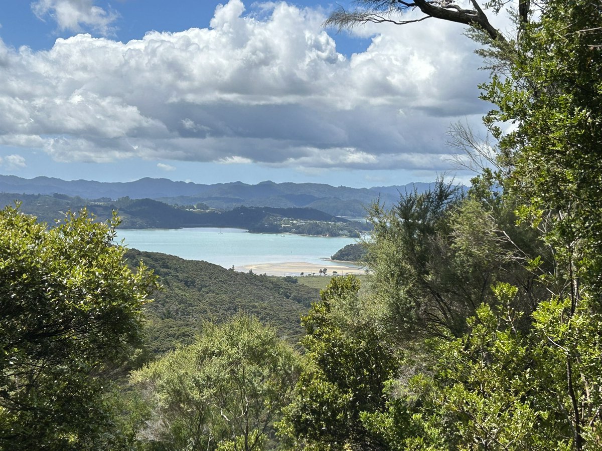 PharmAndy #FBPE 🇪🇺🇬🇧 💙 tweet media