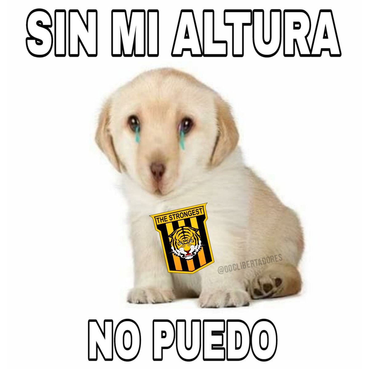 Out of Context Libertadores (@oc_libertadores) on Twitter photo 