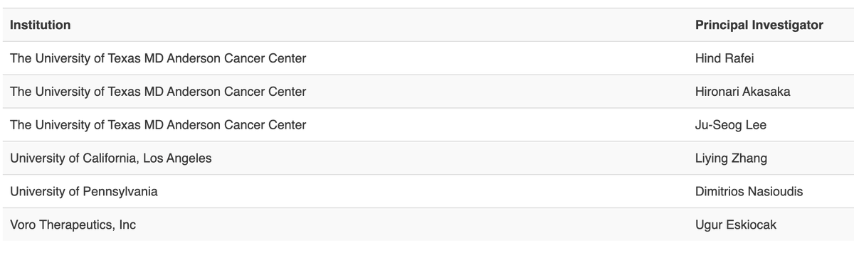 Hind Rafei tweet media