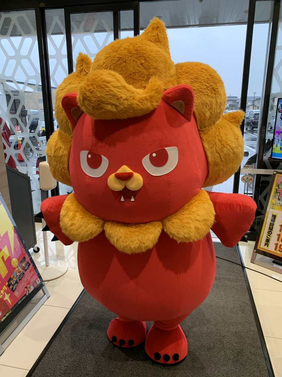 くま🐻とニャンギラスがなかよしになりました。 お客様もお足元の悪い