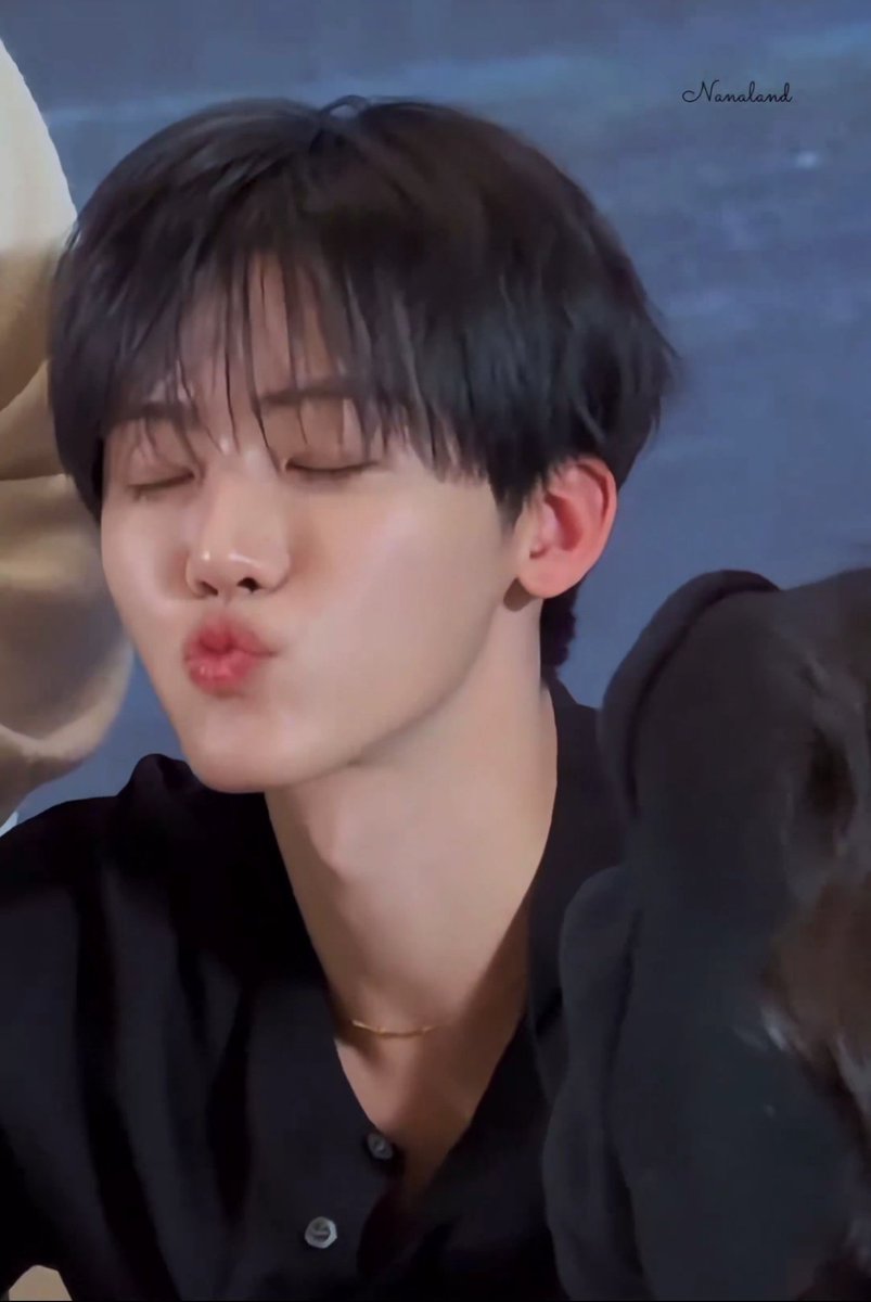 해니미니 tweet media