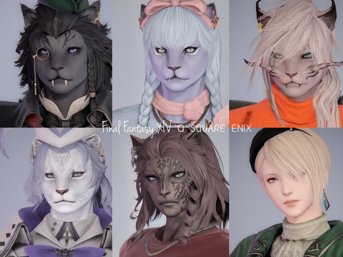 ミゼット tweet media