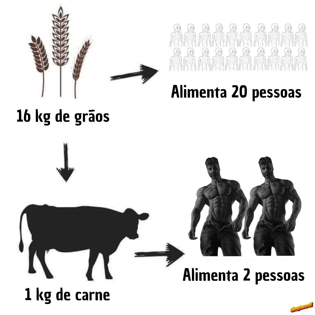 Abrace a Tradição tweet media