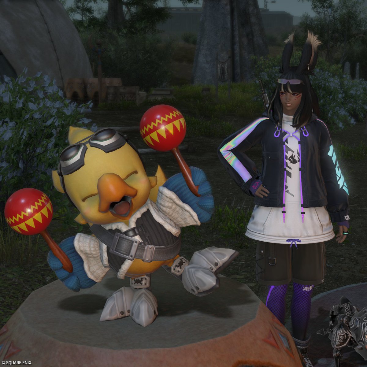 ヌシ釣りに来たらアルファいたけどクマすごいよ大丈夫？
ちゃんと寝な～？