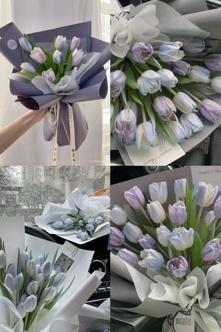 Only Tulips (@tutututututulip) on Twitter photo 