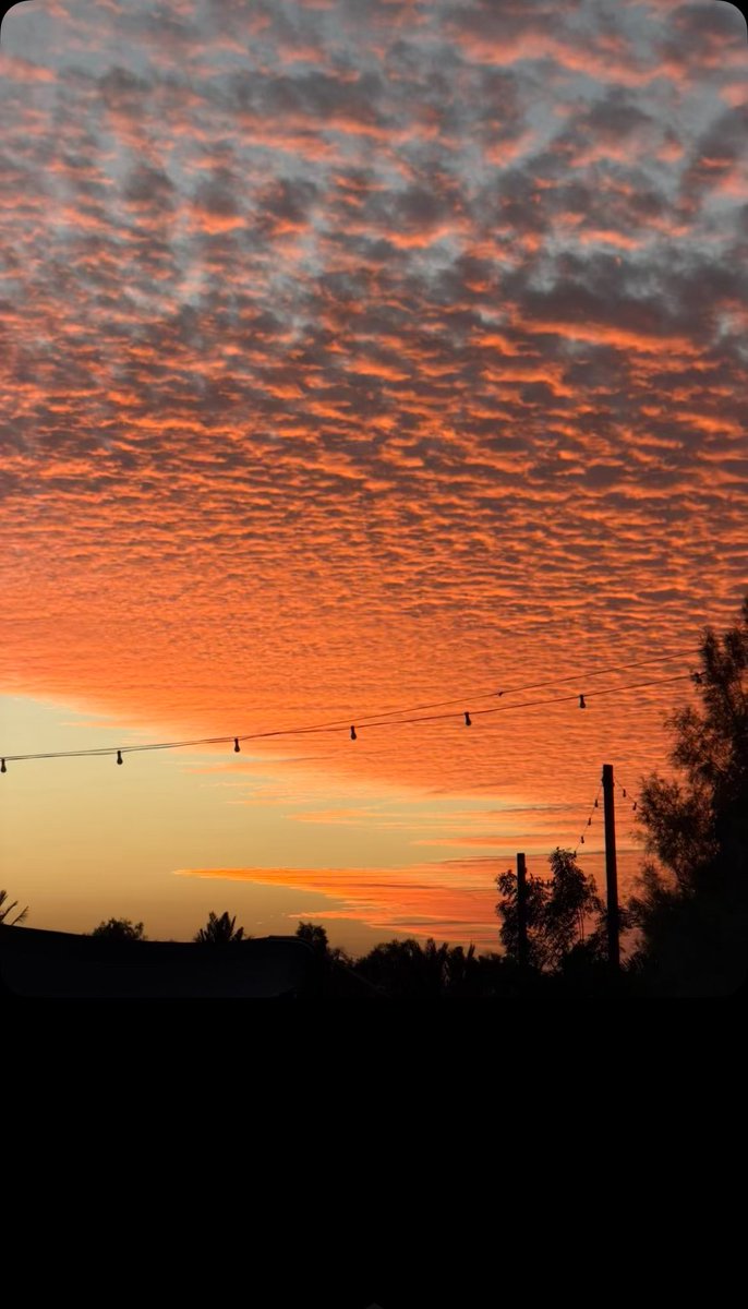 ‏﮼لٰحن ﮼روقي 🇸🇦 tweet media