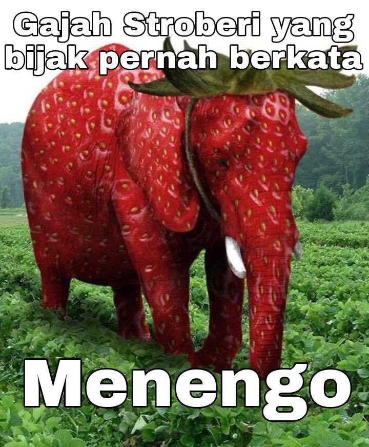 𝓒𝓱𝓻𝓲𝓼𝓽𝔂 tweet media