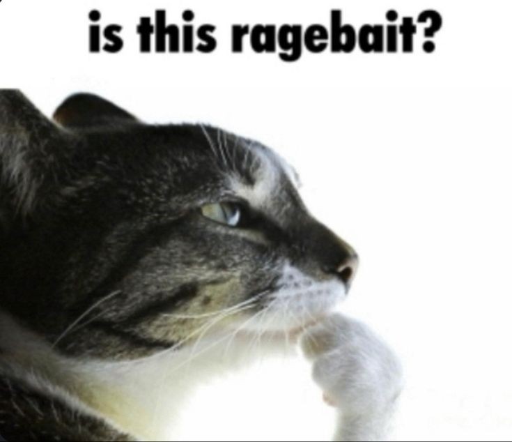 𝓒𝓱𝓻𝓲𝓼𝓽𝔂 tweet media