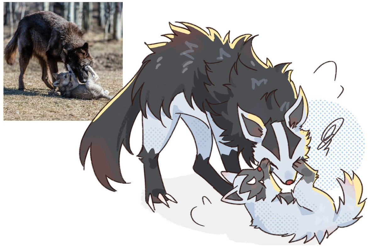 세타 セタ (@seta629211) on Twitter photo 