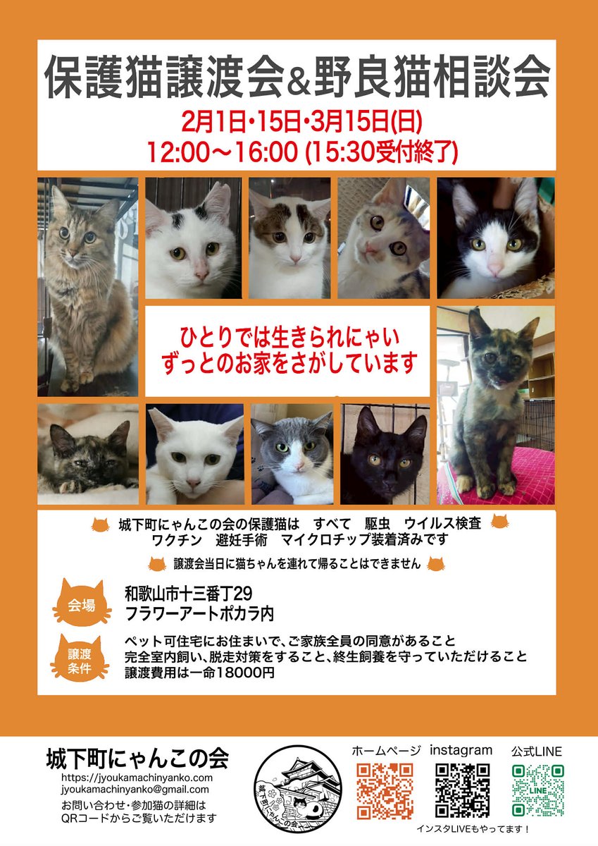 ２月１５日は　保護猫たちの譲渡会&amp;
野良猫相談会　開催です

かわいい子猫たち　大人猫たちが参加❤
ずっとのおうちがほしいです