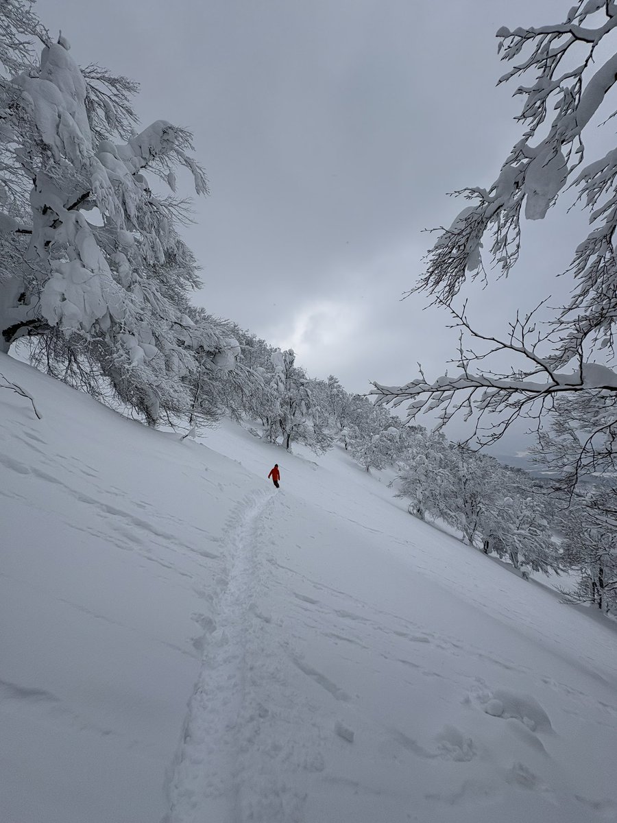 今日はこちらに。