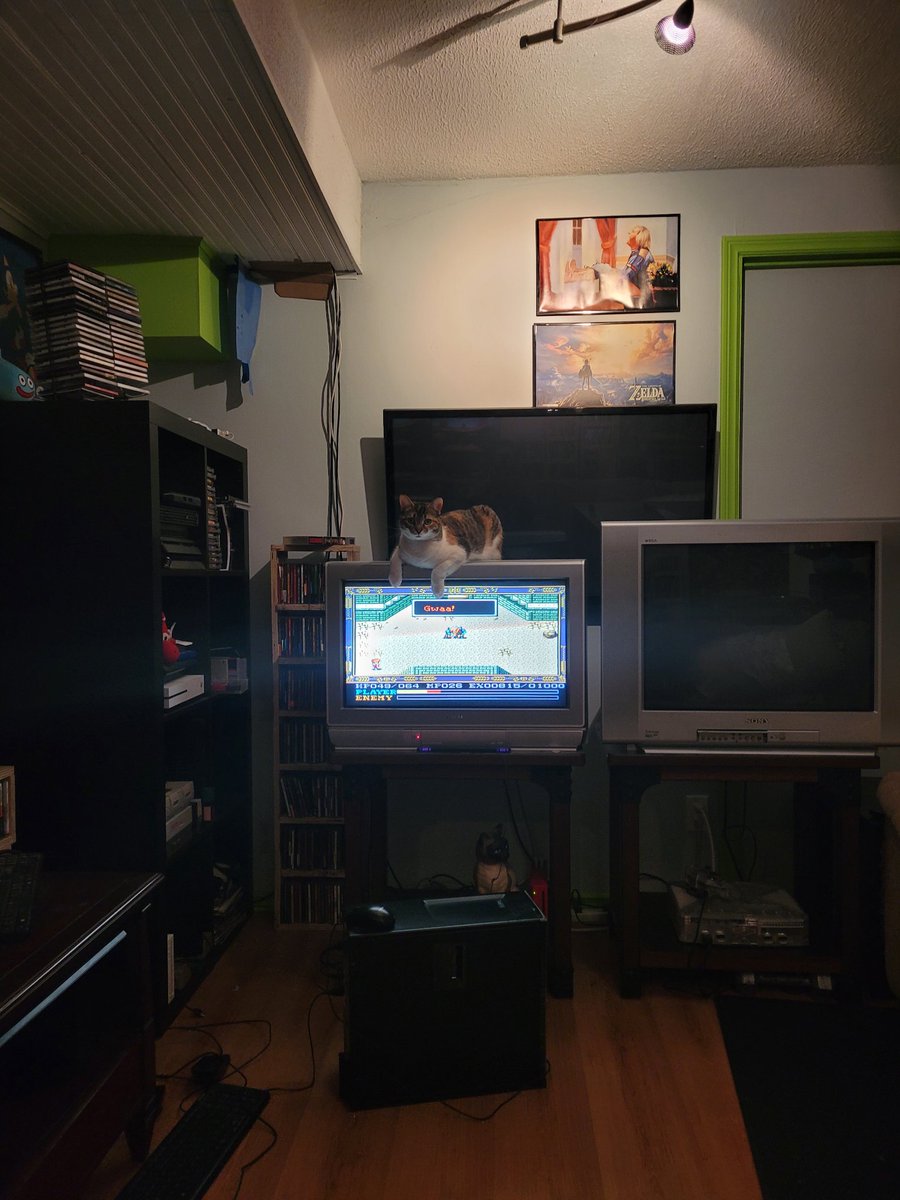 skeletonwizard tweet media