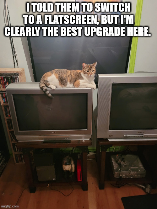 skeletonwizard tweet media