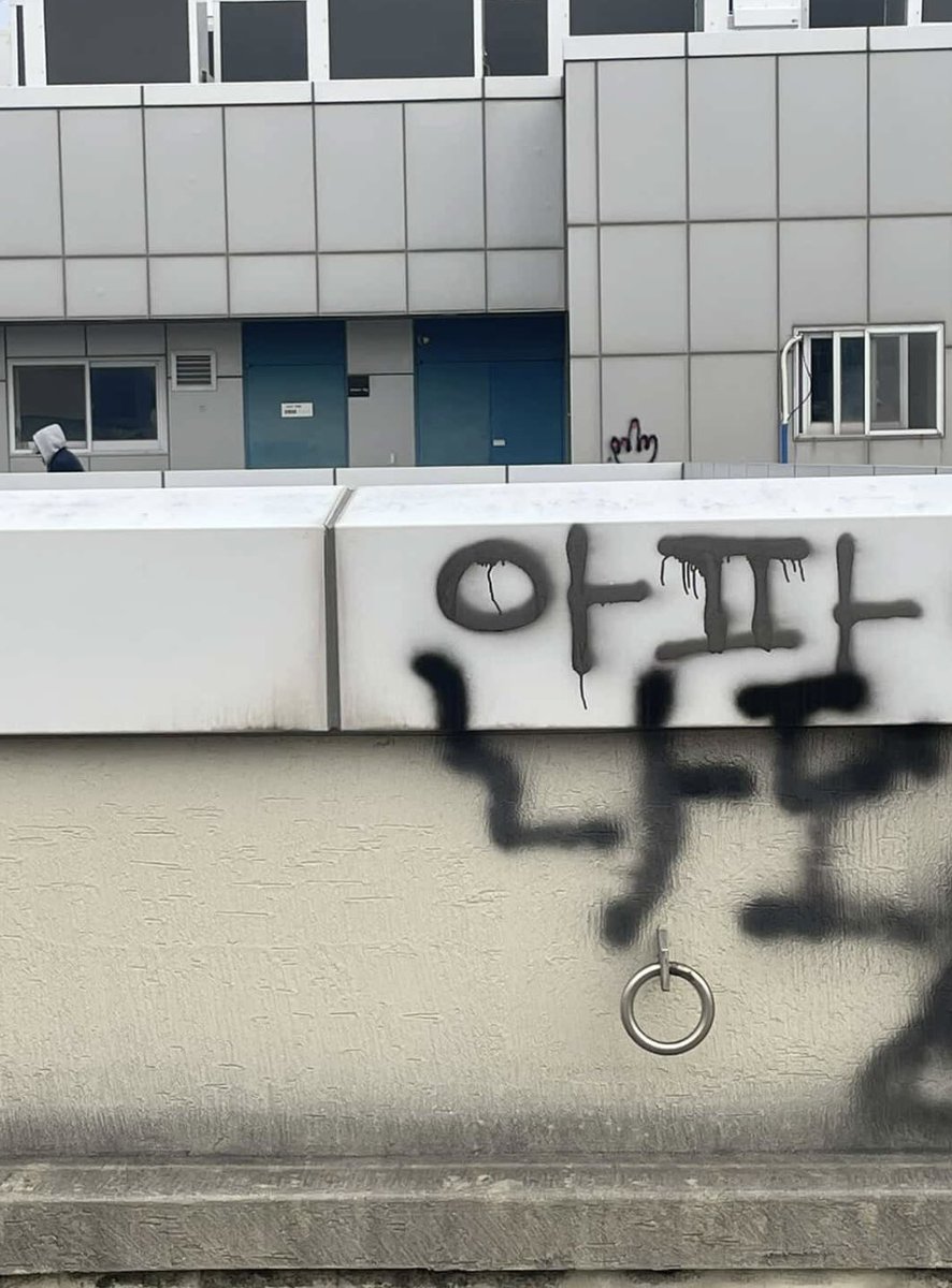 안난초 tweet media