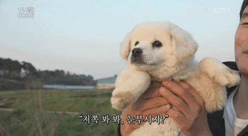 이 트윗을 보는 님 미래가 너무 밝음