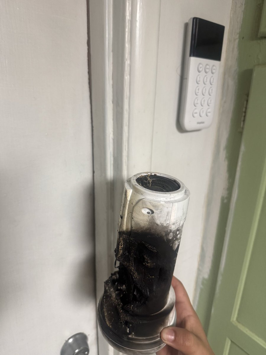 Alexey Javier Rodriguez tweet media