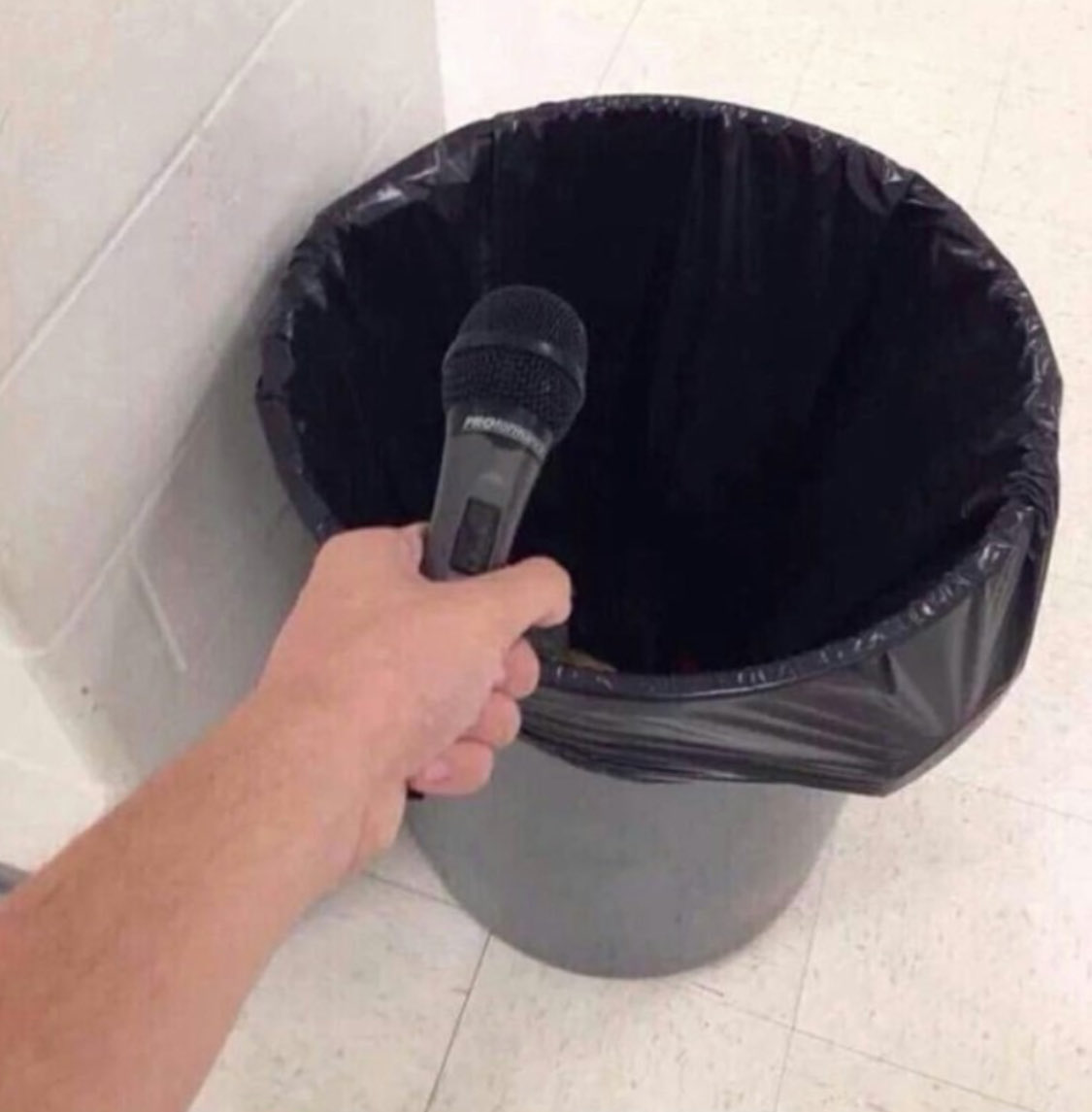 SiameseTim tweet media