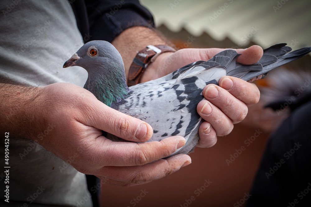 𝟹𝟺_ 𓆩🦇𓆪 tweet media