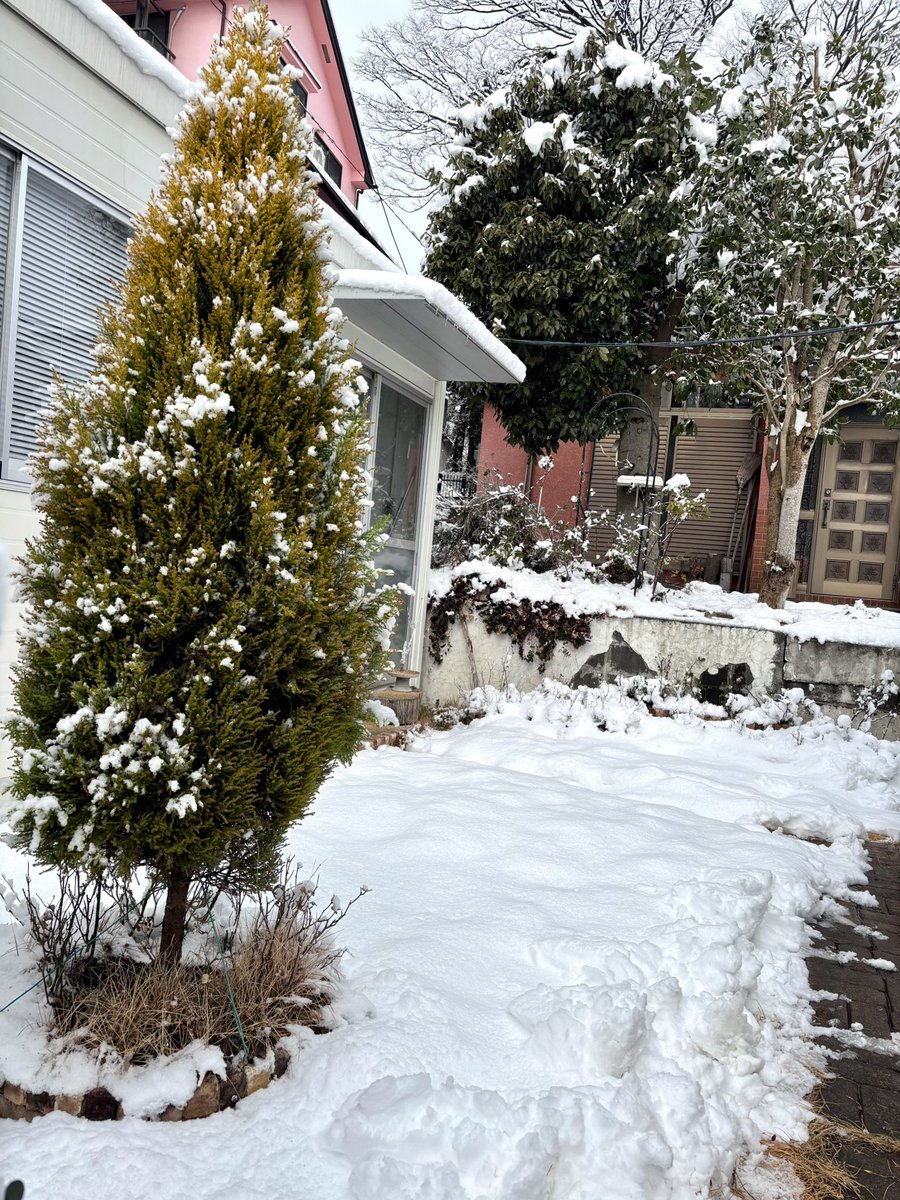 TSUKInoNEKO_Ark's tweet photo. 先週末の雪は15センチほど積もりました。
今回の制作はパーツ数の多さに悩まされています（N） https://t.co/XyahrIXk5h