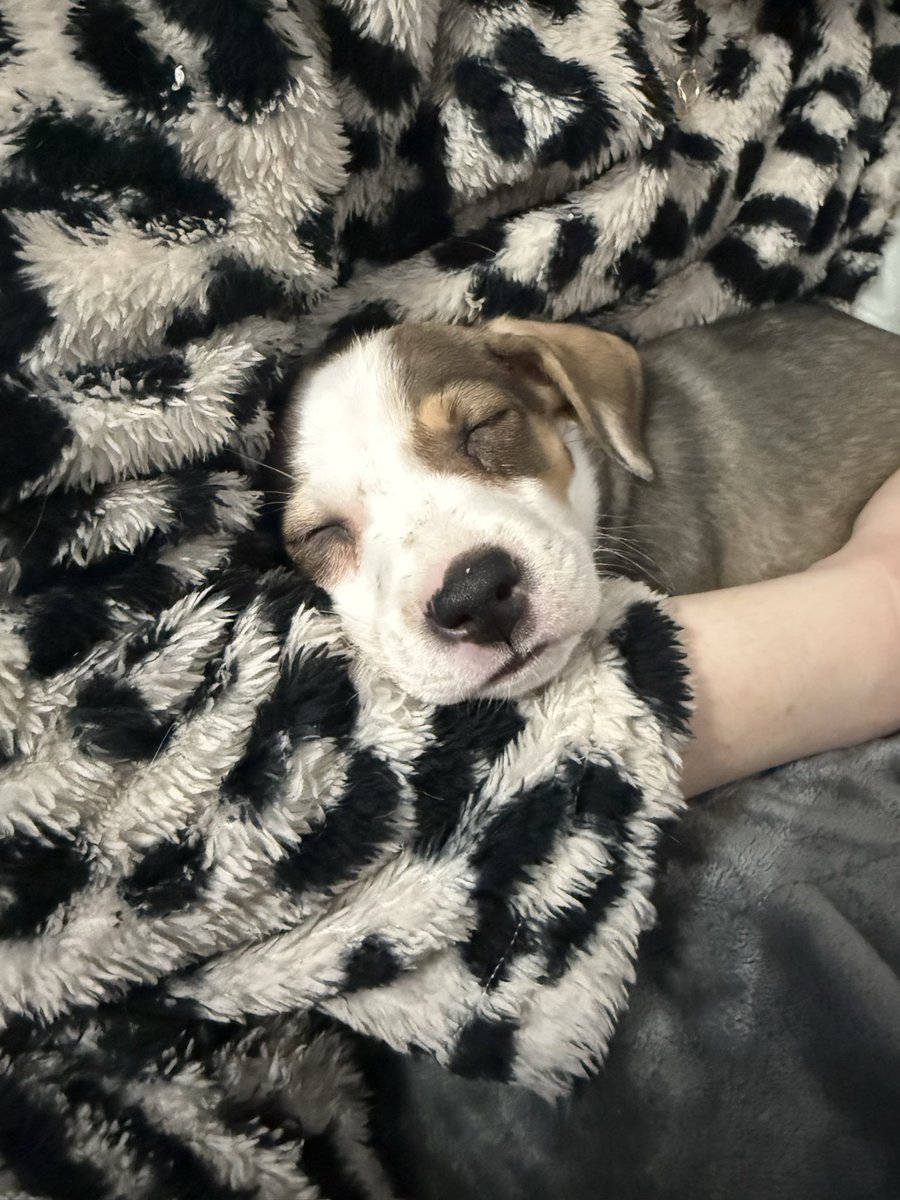 Garrett Ruttle tweet media