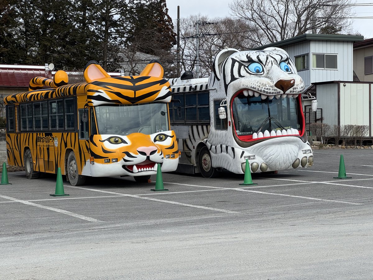 10日前は寒過ぎて、車から降りずに楽しめる那須サファリパークにも立ち寄り。フツーの旅もしないとフツーじゃない旅が際立たないとではなく、殺伐としたSNSを見すぎてちょっとは和みたいなと。車はヨダレで汚れるけど。東北、那須、群馬、富士とサファリパークは東に多いですね