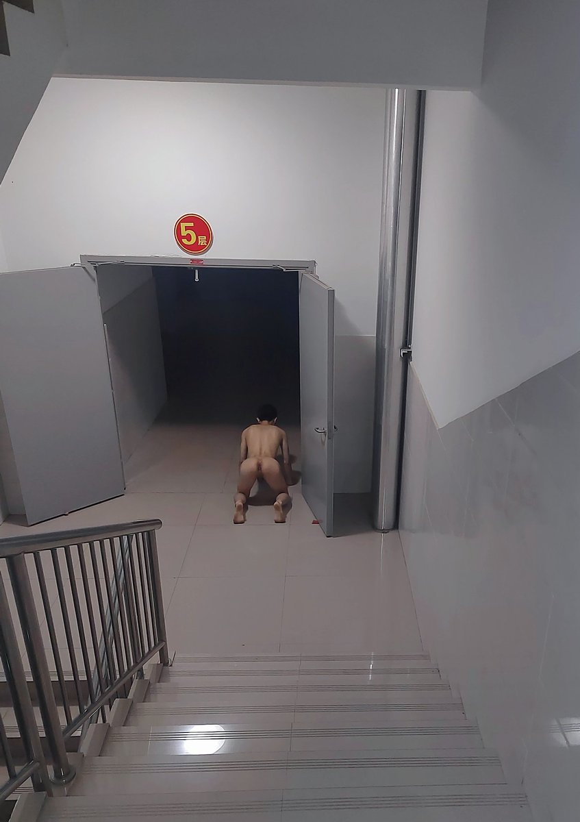 挖土的土豆 tweet media