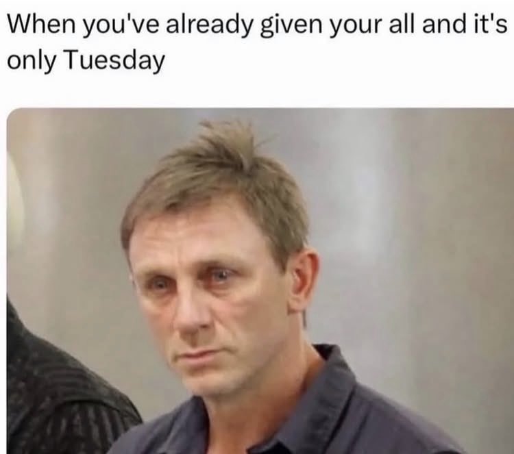 Picklesgal111 💎 🦋 (@picklesgal111) on Twitter photo 