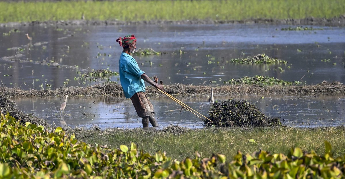 Raj Patel - also @rajpatel.org at bsky.social tweet media