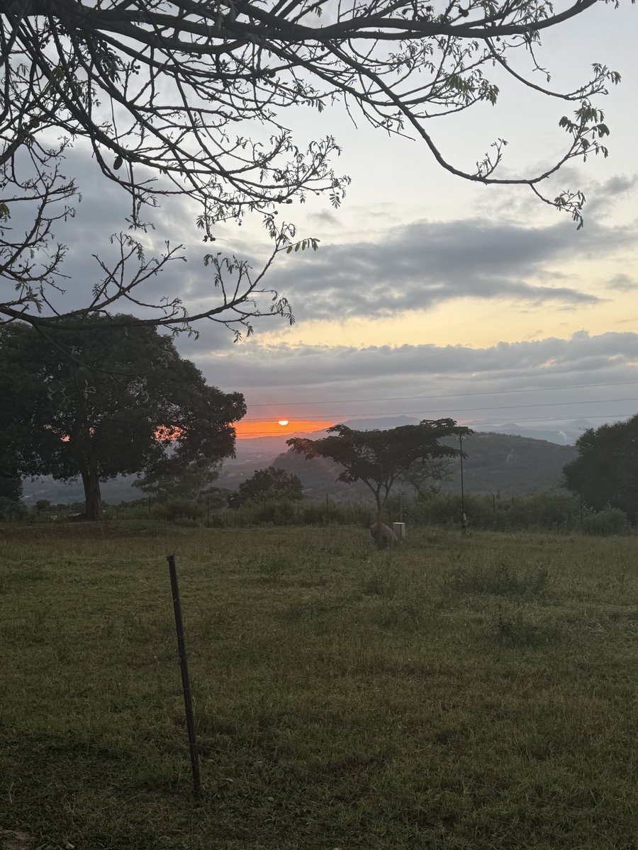 DavidHolmesZA's tweet photo. Beautiful sunrise with a first run back https://t.co/xaehSiI1YY