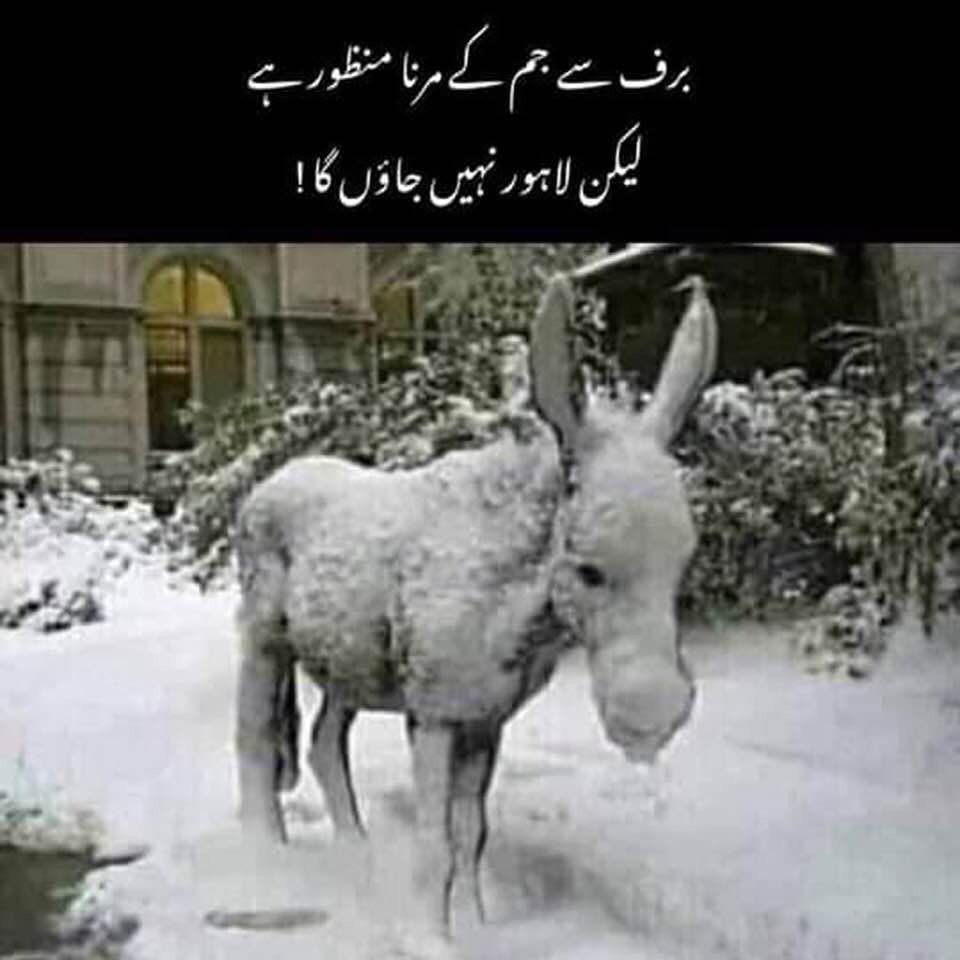 calgarytwo's tweet image. 