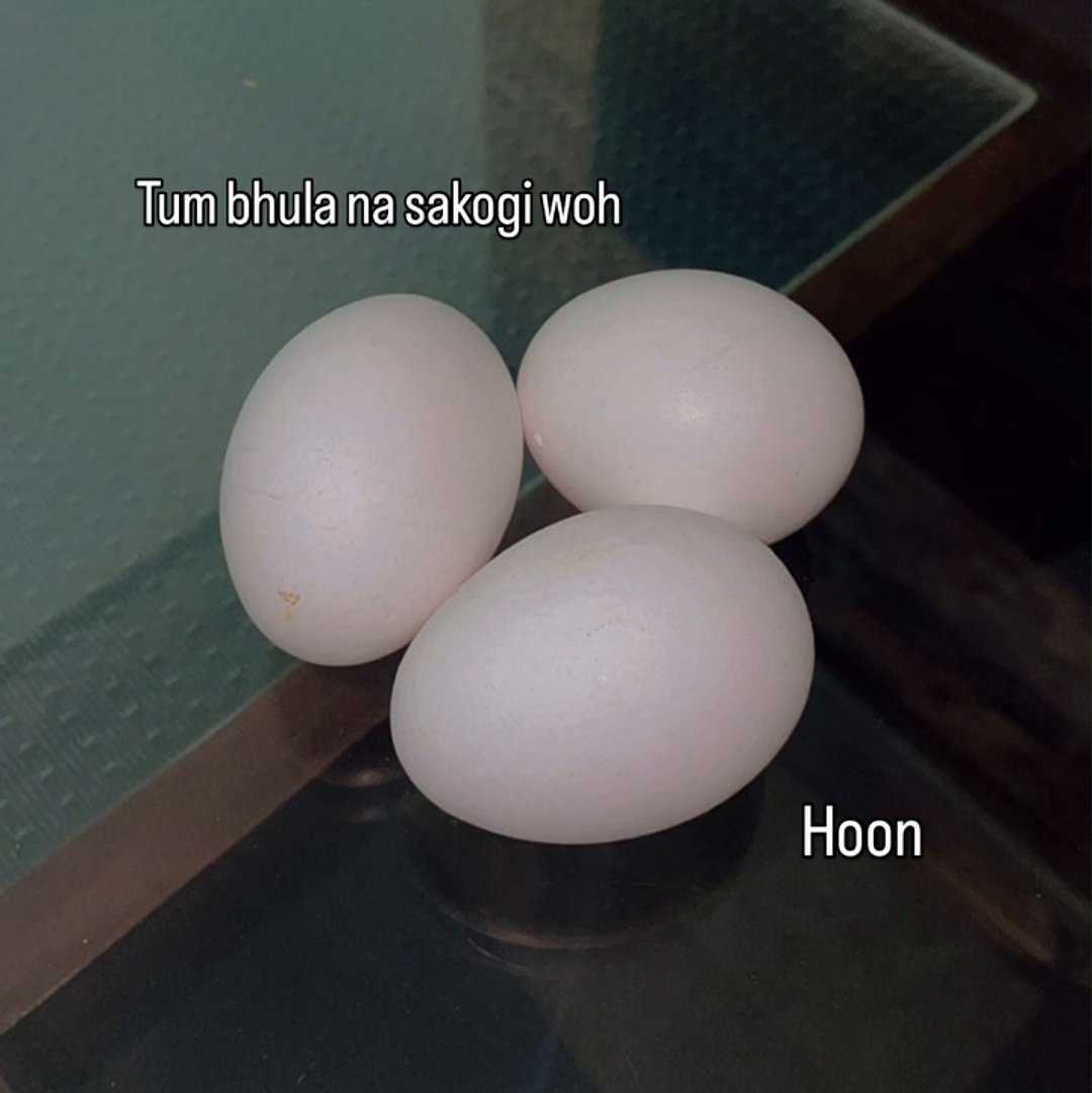 My humor is broken 😭