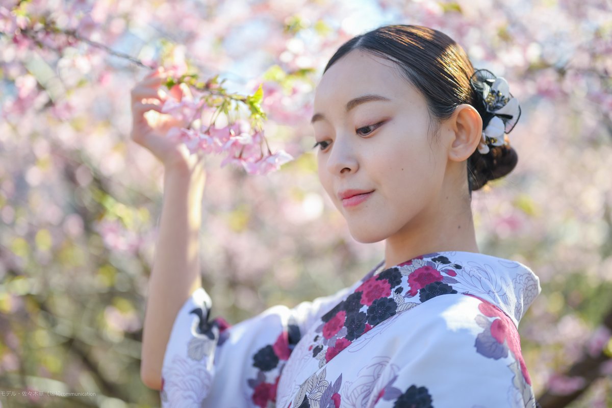 熱海での「ミチフォト」の日は暖かくて良かった！
桜咲く木々からの木漏れ日も綺麗
あたみ桜と和装ポートレート
モデル・佐々木華