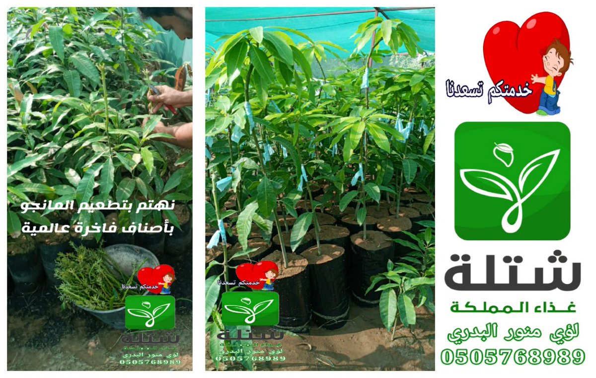 لؤي منور البدري tweet media