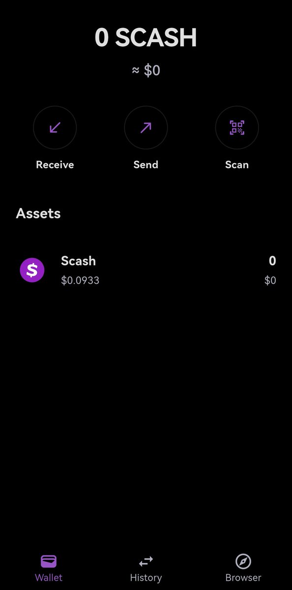 Satoshi Cash Network tweet media