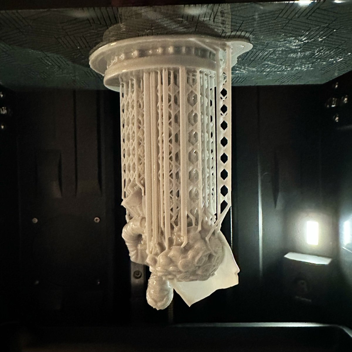 ランド tweet media