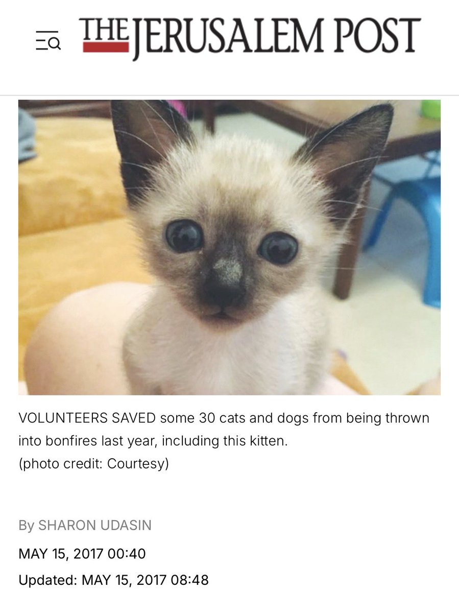 Real article BTW. 

Sometimes, even as a hardened antisemite, I am still surprised…