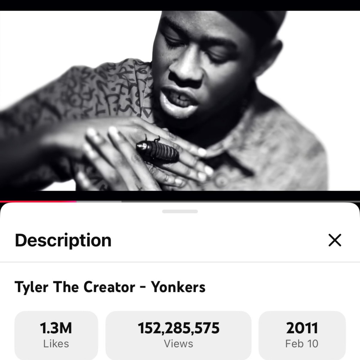 Stereogum tweet media