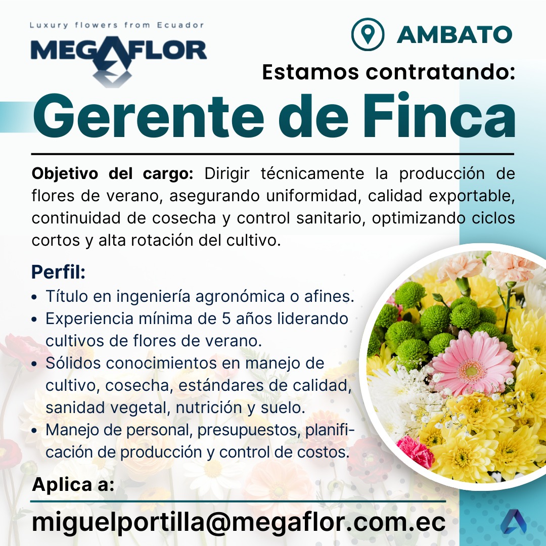 GERENTE DE FINCA – MEGAFLOR - AMBATO

Ingeniería Agronómica o afines.
Experiencia mínima de 5 años en cultivos de flores de verano.
Conocimientos en manejo de cultivo, cosecha, estándares de calidad, sanidad vegetal, nutrición y suelo.

Correo:
miguelportilla@megaflor.com.ec
