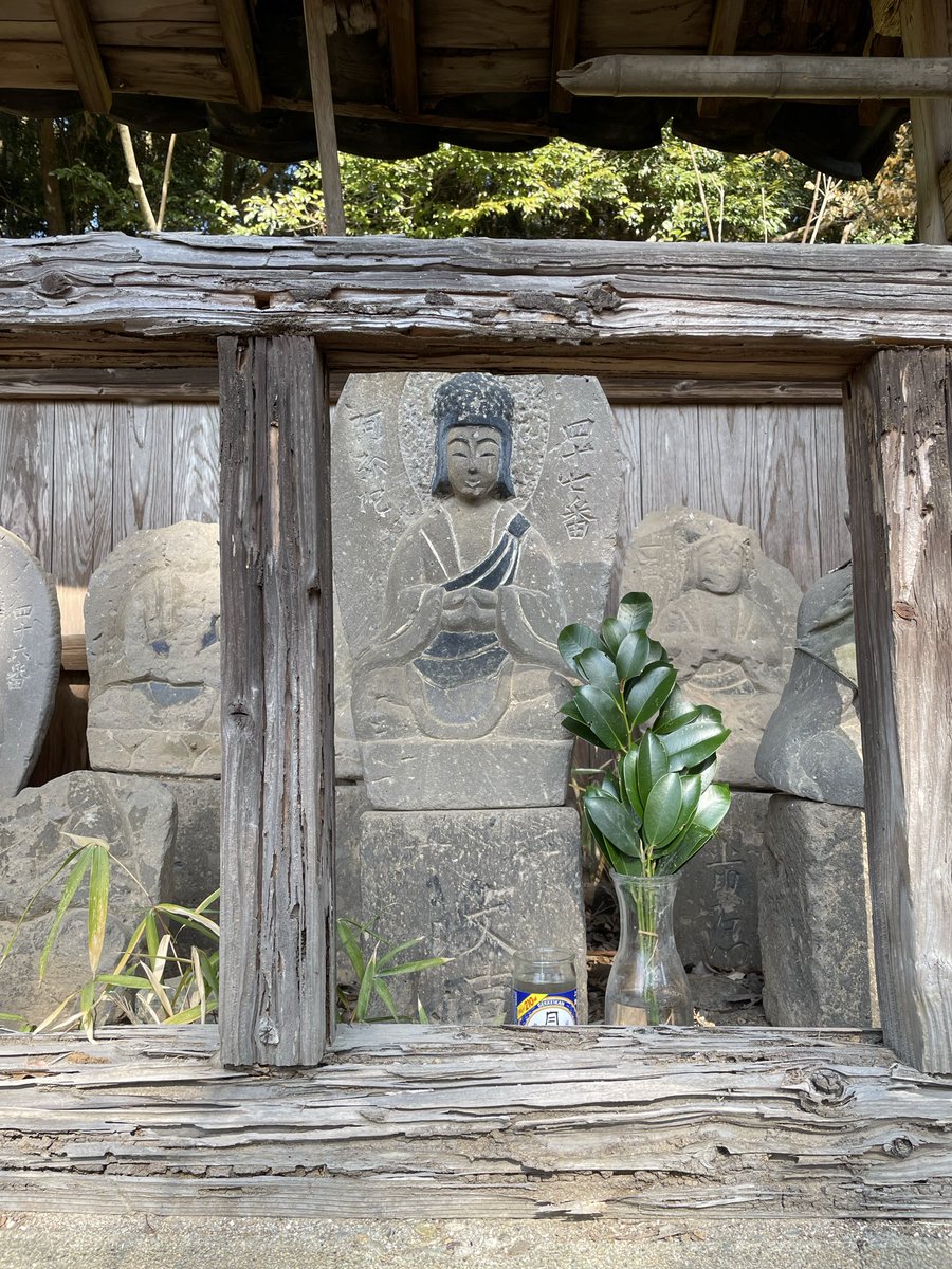 Yame’s Iwatoyama Kofun

Believed to be the tomb of Tsukushi Iwai, a powerful Kyushu clan leader who challenged the Yamato court in the 6th century.

For inquiries about cultural guides in Kyushu, please contact us here.

wanderjpn.com/en

#kyushuTravel
#JapaneseCulture