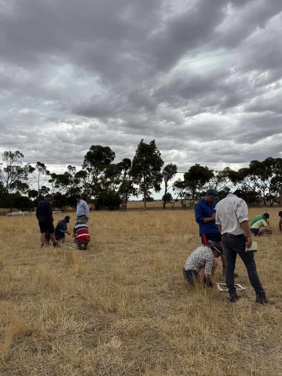 Jessie Wettenhall tweet media